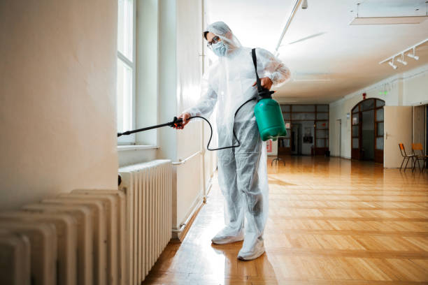 Professional Pest Control in St Johns, AZ